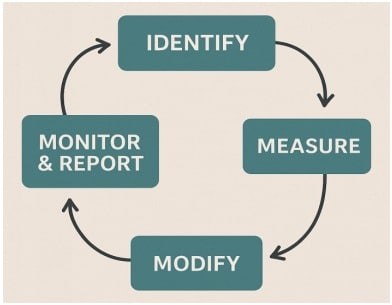 Risk Management cycle
