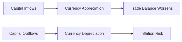 Capital Flow and FX Rate Influence 
