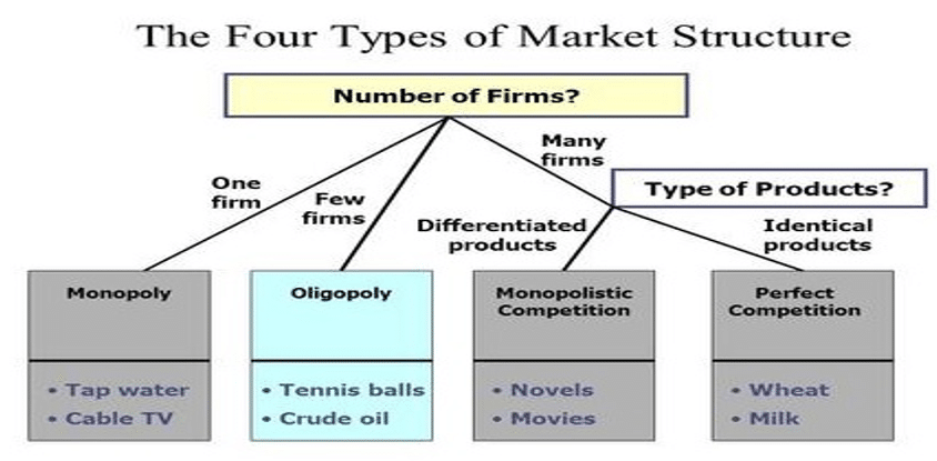 : Market Structure Continuum