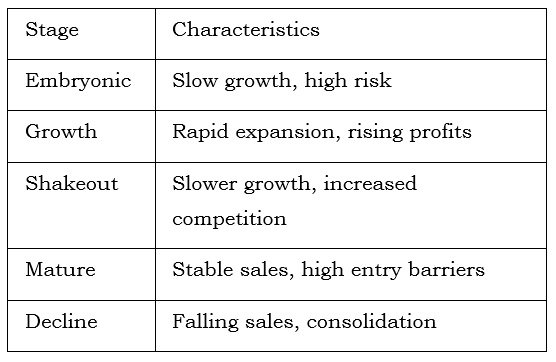 Industry Life Cycle
