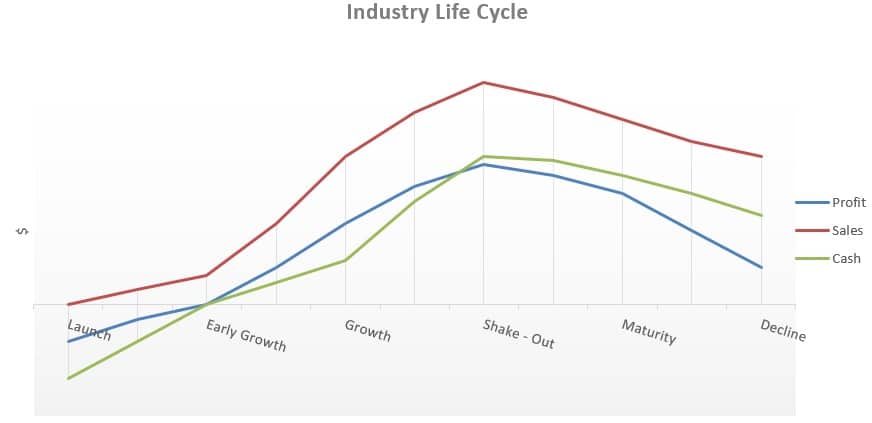 Industry Life Cycle