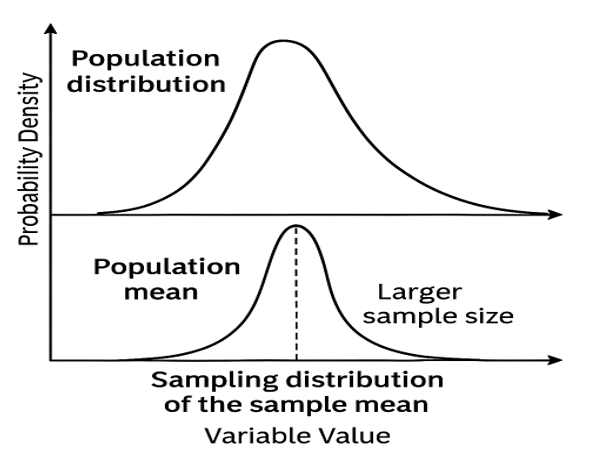 Sampling Distribution